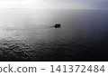 Tranquil Boat Scene Amid Shimmering Waters. Calm Seaside Fishing Operation Under Soft Sky Ambiance . Media 141372484