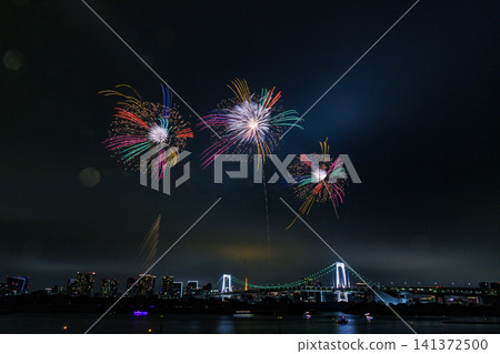 著色夏夜天空的煙花 著色夏夜天空的煙花 141372500