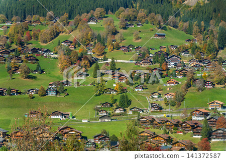 Traditional wooden chalets of Grindelwald are scattered across the autumnal green hills. Grindelwald, Canton of Bern, Switzerland Traditional wooden chalets of Grindelwald are scattered across the autumnal green hills. Grindelwald, Canton of Bern, Switzerland 141372587