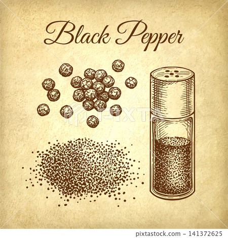 Black pepper set. Vintage engraving illustration. Black pepper set. Vintage engraving illustration. 141372625