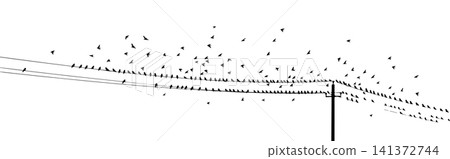 Silhouette of birds on wires . Vector illustration Silhouette of birds on wires . Vector illustration 141372744