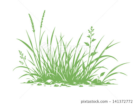 Grass green silhouette vector isolated on white background nature design illustration of grass plant pattern greenery artwork Hand drawn. Not AI, vector illustration. Grass green silhouette vector isolated on white background nature design illustration of grass plant pattern greenery artwork Hand drawn. Not AI, vector illustration. 141372772