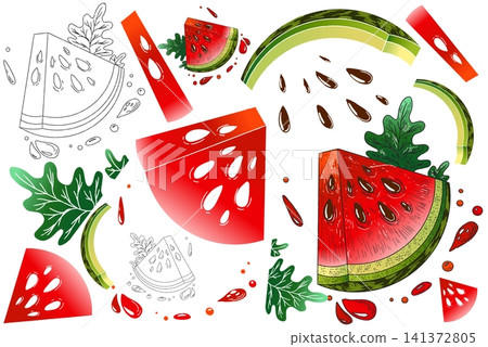 Watermelon Slice Illustration Set Watermelon Slice Illustration Set 141372805