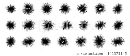 Sea urchin vector icon set Sea urchin vector icon set 141373145