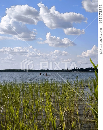 People are paddling on SUP boards in the distance, against the backdrop of a picturesque lake and reeds. People are paddling on SUP boards in the distance, against the backdrop of a picturesque lake and reeds. 141373221