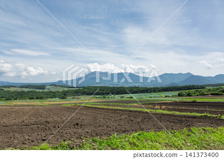 Farmland in Tsumagoi Village and Mount Asama, Gunma Prefecture 141373400