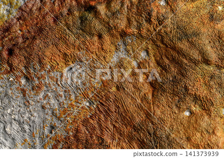 The background is striking with its brown rust and gray concrete. The background is striking with its brown rust and gray concrete. 141373939