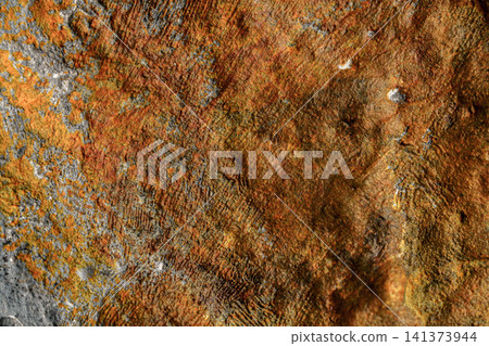 A rusty texture with a mix of brown and gray. A rusty texture with a mix of brown and gray. 141373944