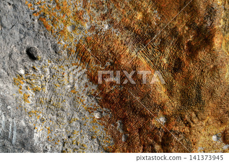 The texture captures the unevenness of deteriorated concrete and rust. The texture captures the unevenness of deteriorated concrete and rust. 141373945