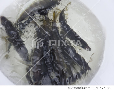 我們捕到了很多竹莢魚。 我們捕到了很多竹莢魚。 141373970