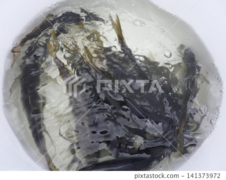 我們捕到了很多竹莢魚。 我們捕到了很多竹莢魚。 141373972