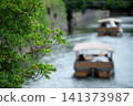 Matsue Castle Park and the Horikawa River Pleasure Boat in Matsue City, Shimane Prefecture, are beautiful in the summer with their lush greenery. 141373987