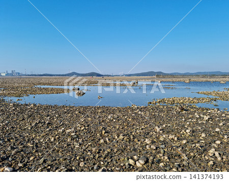 It is a sea with mudflats. It is a sea with mudflats. 141374193