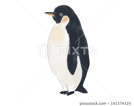 站立的企鵝插圖(側視圖) 站立的企鵝插圖(側視圖) 141374329