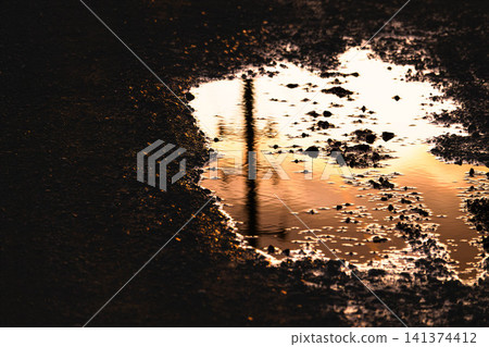 A lonely landscape reflected in puddles on a country road after the evening rain. A lonely landscape reflected in puddles on a country road after the evening rain. 141374412