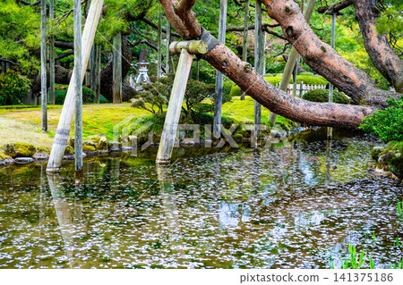 金澤Kenrokuen 金澤Kenrokuen 141375186