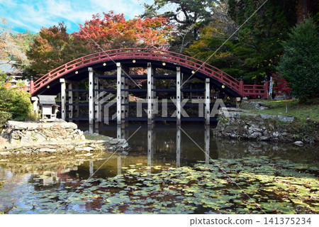 秋日的牛姬神社:太鼓橋 秋日的牛姬神社:太鼓橋 141375234
