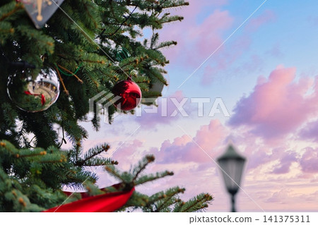 Looking up at the Christmas tree in the evening Looking up at the Christmas tree in the evening 141375311