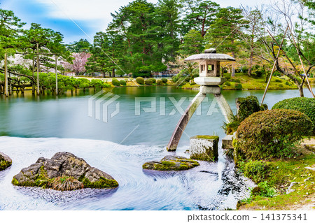 Kanazawa Kenrokuen Garden: Kasumigaike Pond with cherry blossom petals floating on it 141375341
