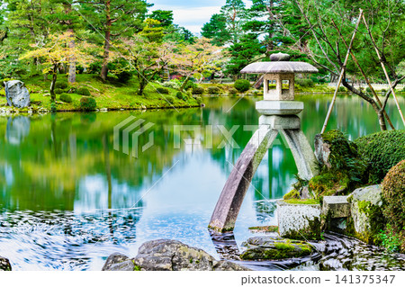 金澤兼六園:霞池,池中漂浮著櫻花花瓣 金澤兼六園:霞池,池中漂浮著櫻花花瓣 141375347