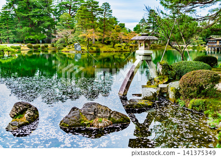 金澤兼六園:霞池,池中漂浮著櫻花花瓣 金澤兼六園:霞池,池中漂浮著櫻花花瓣 141375349