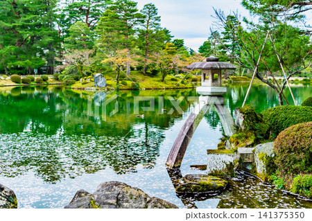 金澤兼六園：霞池，池中漂浮著櫻花花瓣 141375350