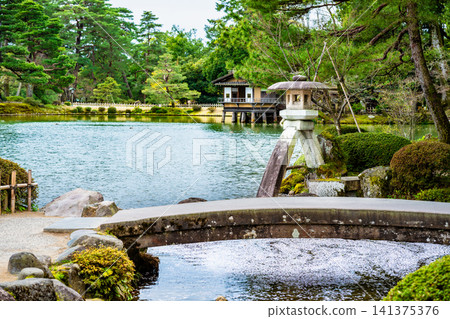 金澤兼六園:霞池,池中漂浮著櫻花花瓣 金澤兼六園:霞池,池中漂浮著櫻花花瓣 141375376