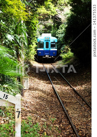 Scenery of the Choshi Electric Railway: Green Tunnel (between Honchoshi Station and Kasagami-Kurose Station) Choshi Electric Railway 3000 series 141375533