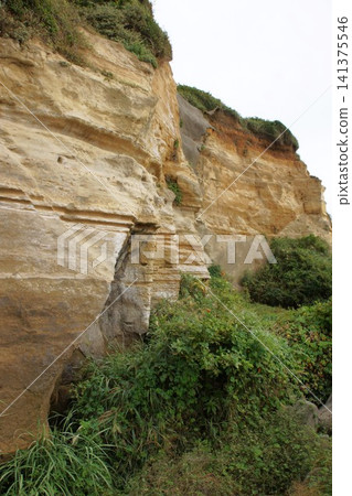 銚子流景觀:屏風浦(地質層:白堊紀) 銚子流景觀:屏風浦(地質層:白堊紀) 141375546