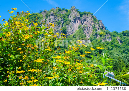 Iwagutsu Mountain and Summer Flowers Iwagutsu Mountain and Summer Flowers 141375588
