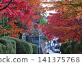Late autumn scenery at the World Heritage site of Koyasan: Jabara Road 141375768