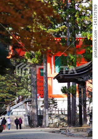 Late autumn scenery at the World Heritage site of Koyasan: Konpon Daito (Great Pagoda) Late autumn scenery at the World Heritage site of Koyasan: Konpon Daito (Great Pagoda) 141375769