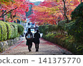 Late autumn scenery at the World Heritage site of Koyasan: Jabara Road 141375770
