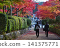 Late autumn scenery at the World Heritage site of Koyasan: Jabara Road 141375771