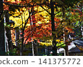 Late autumn scenery at the World Heritage site of Koyasan 141375772