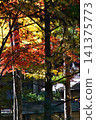 Late autumn scenery at the World Heritage site of Koyasan 141375773