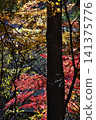 Late autumn scenery at the World Heritage site of Koyasan 141375776