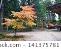 Late autumn scenery at the World Heritage site of Koyasan: West Pagoda 141375781
