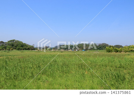 A landscape of Nonoshima Island in the Urato Islands, with its blue sky and expansive grassy fields (Shiogama City, Miyagi Prefecture) A landscape of Nonoshima Island in the Urato Islands, with its blue sky and expansive grassy fields (Shiogama City, Miyagi Prefecture) 141375861