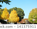 Autumn leaves in Ueno Park, in front of Ueno Zoo 141375911