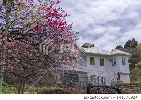 桃花、春天、西式建築、櫻花、公園、開花樹木、日本風景、藍天、觀光、名勝古蹟 桃花、春天、西式建築、櫻花、公園、開花樹木、日本風景、藍天、觀光、名勝古蹟 141375924