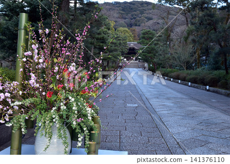 通往東大谷的道路兩旁點綴著春天的花朵。 通往東大谷的道路兩旁點綴著春天的花朵。 141376110