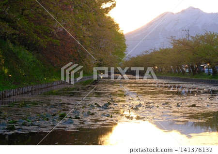 傍晚時分，弘前城西護城河與磐山的景色盡收眼底。 141376132