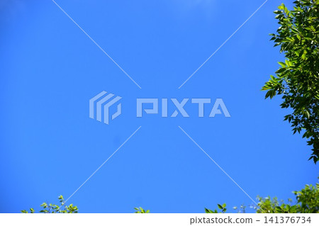 Background material combining a bright blue sky and the green of trees. Background material combining a bright blue sky and the green of trees. 141376734