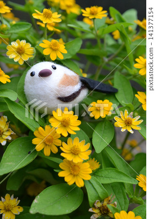 Melampodium and Long-tailed Tit Melampodium and Long-tailed Tit 141377154