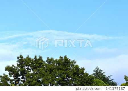 背景素材由湛藍的天空和綠色的樹木組成。 背景素材由湛藍的天空和綠色的樹木組成。 141377187