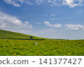 [Nagano Prefecture] Kirigamine Plateau in Summer 141377427