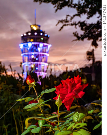 The Sea Candle lighthouse on Enoshima Island, lit up at dusk in the summer. The Sea Candle lighthouse on Enoshima Island, lit up at dusk in the summer. 141377432