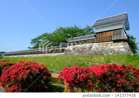 Spring flowers blooming at Shoryuji Castle Park 141377438