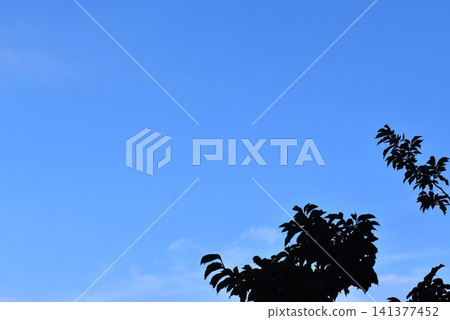 背景素材由湛藍的天空和綠色的樹木組成。 背景素材由湛藍的天空和綠色的樹木組成。 141377452